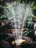 Insel Mainau Mai 2022 - XXXIV
