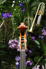 Insel Mainau Mai 2022 - XXXIX