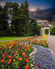 Insel Mainau Mai 2022 - XLII