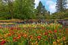 Insel Mainau Mai 2022 - XLVIII