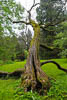 Insel Mainau Mai 2022 - LIII