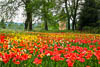 Insel Mainau Mai 2022 - LVIII