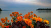 Insel Mainau Mai 2022 - LIX