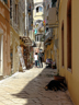 Adria Corfu - XXXVI