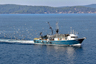 Adria Krka - XCVI