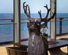 Mein Schiff 5 - LIII