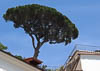 Mein Schiff 5 - Amalfi - CL