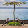 Lake Constance Spring 2018 - XLV