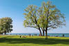 Lake Constance Spring 2018 - LIII