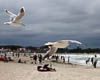 Baltic Sea Warnemünde - XVII