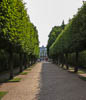 Baltic Sea Saint Petersburg - XXX
