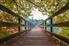 Untersee - Autumn 2018 - V