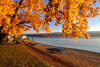 Reichenau - Autumn 2018 - XVI