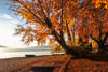 Reichenau - Autumn 2018 - XVII