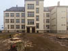 Zoffingen Baumfällung Winter 2019 - III