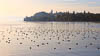 Mainau - Herbst 2019 - III