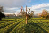 Konstanz - Herbst 2019 - VII