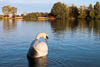 Konstanz - Herbst 2019 - IX