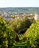Konstanz - Herbst 2019 - XV