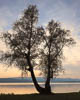 Gnadensee - Autumn 2019 - II