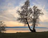 Gnadensee - Autumn 2019 - IV