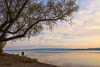 Gnadensee - Autumn 2019 - V