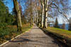 Insel Mainau - Autumn 2019 - IV