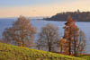 Insel Mainau - Autumn 2019 - VI