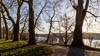 Insel Mainau - Autumn 2019 - IX