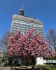 Konstanz in times of Corona - C