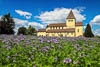 Reichenau Corona Sommer 2020 - I