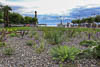Konstanz Corona Sommer 2020 - X