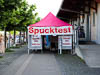 Bodensee Summer 2021 - VII