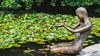 Mainau - Summer 2021 - II