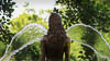 Mainau - Summer 2021 - IV