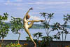 Mainau - Summer 2021 - V
