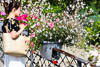 Mainau - Summer 2021 - X