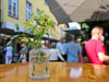 Radolfzell Untersee  - Summer 2021 - VII