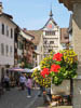 Stein am Rhein Untersee  - Summer 2021 - XLVII