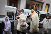 Fasnacht Konstanz Februar 2022 - XVIII