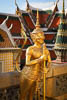 Asia Bangkok - CCXLI