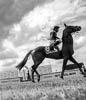 Swiss Derby 2018 - LVI
