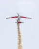 PC-7 Team Teufen Summer 2021 - IX
