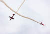 PC-7 Team Teufen Summer 2021 - XI