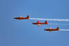 Lommis Airshow - XLIX