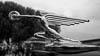 Arbon Classics 2022 - L