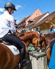 Auffahrtsumritt Beromünster 2022 - CXLIII