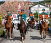 Winzerfest Döttingen 2022 - V