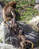 Zürich Zoo 2023 - XIII
