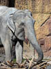 Zürich Zoo 2023 - XV